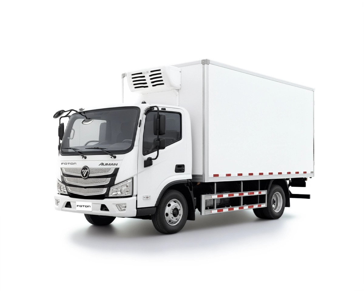 FOTON AUMARK BJ1065